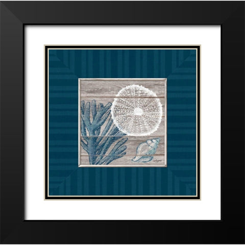 Coastal Bliss Black Modern Wood Framed Art Print with Double Matting by Appleman, Sam