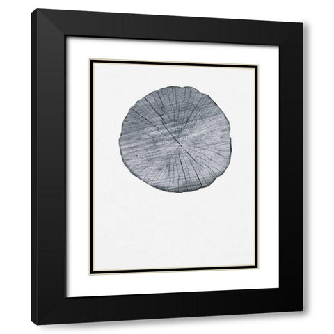 Old Growth Ring Print Black Modern Wood Framed Art Print with Double Matting by Appleman, Sam