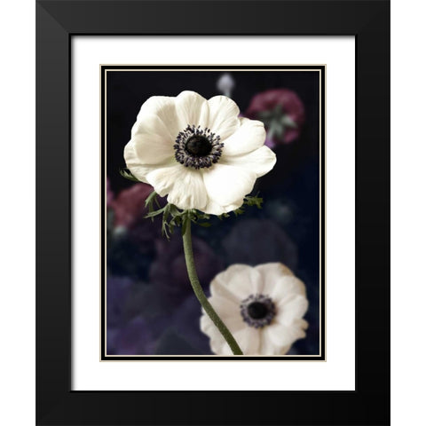 Renaissance Black Modern Wood Framed Art Print with Double Matting by Duprais, Cameron