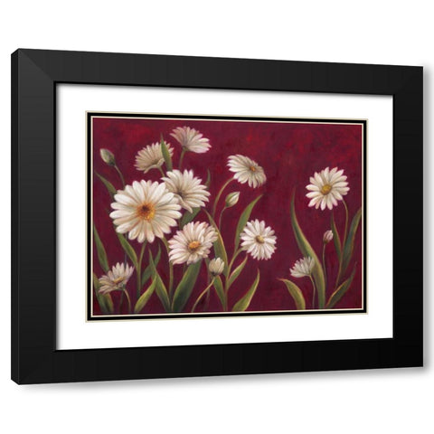 Harmony Daisies  Black Modern Wood Framed Art Print with Double Matting by Art Atelier Alliance