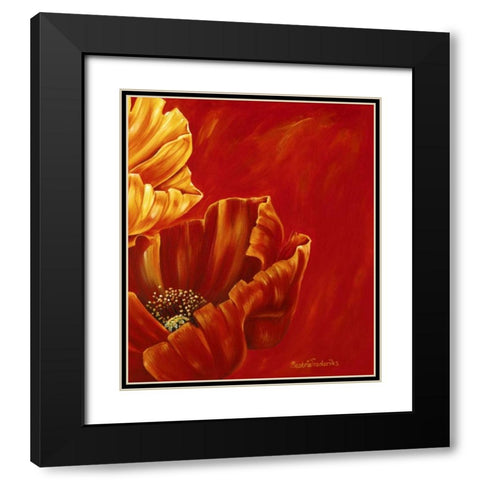 Poppies in bloom II Black Modern Wood Framed Art Print with Double Matting by Frederiks, Beatrix