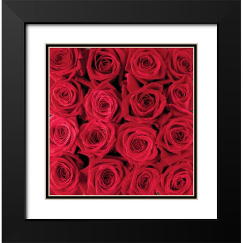 Red rose creation Black Modern Wood Framed Art Print with Double Matting by met Bloemen, Creatief