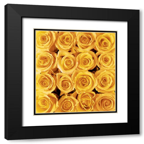 Yellow rose creation Black Modern Wood Framed Art Print with Double Matting by met Bloemen, Creatief
