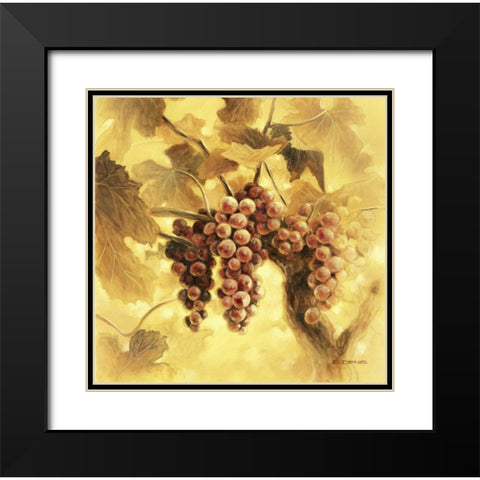 GrapesI Black Modern Wood Framed Art Print with Double Matting by Denis, E