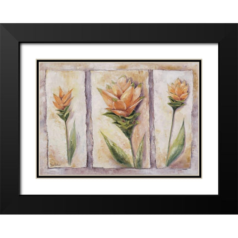 Curuma cycas Black Modern Wood Framed Art Print with Double Matting by Withaar, Rian