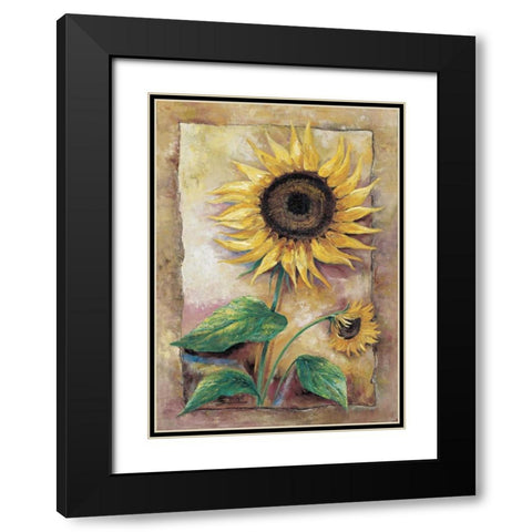 Beautiful sunflower Black Modern Wood Framed Art Print with Double Matting by Withaar, Rian