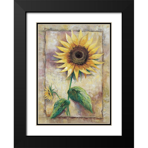 Magnificent sunflower Black Modern Wood Framed Art Print with Double Matting by Withaar, Rian