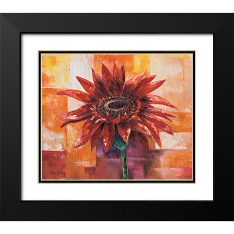 The eye of the flower Black Modern Wood Framed Art Print with Double Matting by Withaar, Rian