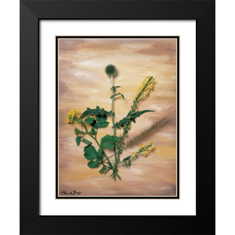 Yellow wild flowers Black Modern Wood Framed Art Print with Double Matting by de Bruijn, Hans