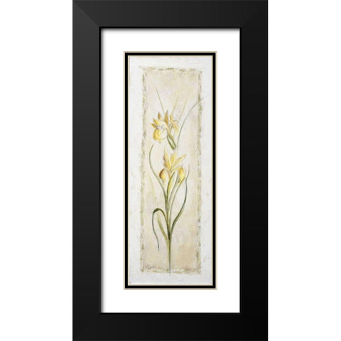 Garden delight-iris Black Modern Wood Framed Art Print with Double Matting by Bonet, Julia