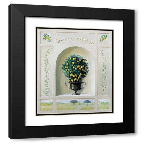 Lemon grove Black Modern Wood Framed Art Print with Double Matting by Bonet, Julia