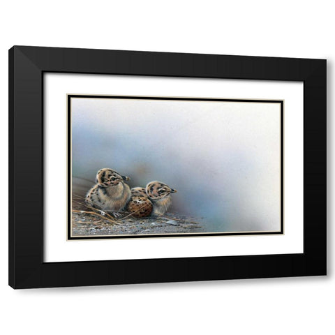 Baby birds Black Modern Wood Framed Art Print with Double Matting by Weenink, Jan