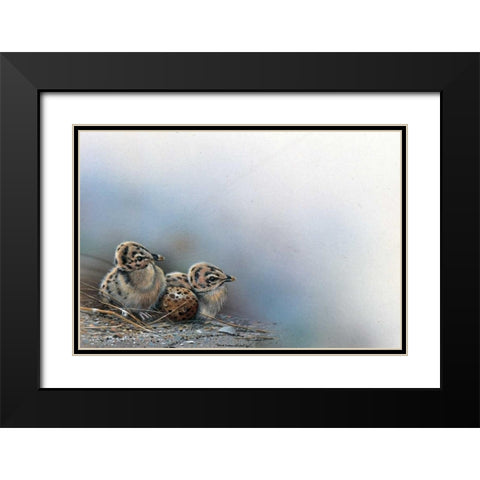 Baby birds Black Modern Wood Framed Art Print with Double Matting by Weenink, Jan