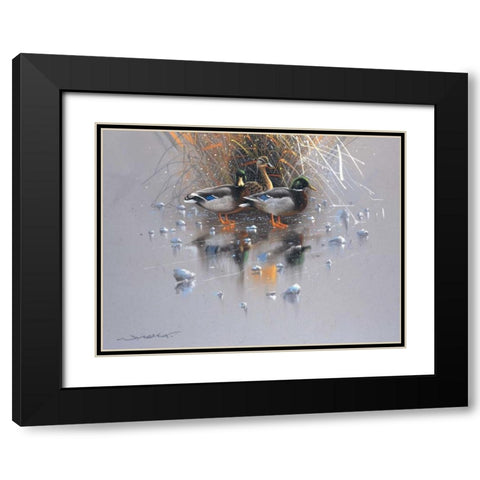 Three ducks Black Modern Wood Framed Art Print with Double Matting by Weenink, Jan