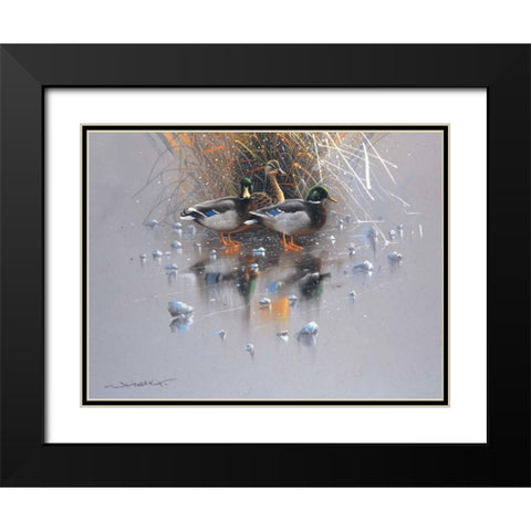 Three ducks Black Modern Wood Framed Art Print with Double Matting by Weenink, Jan