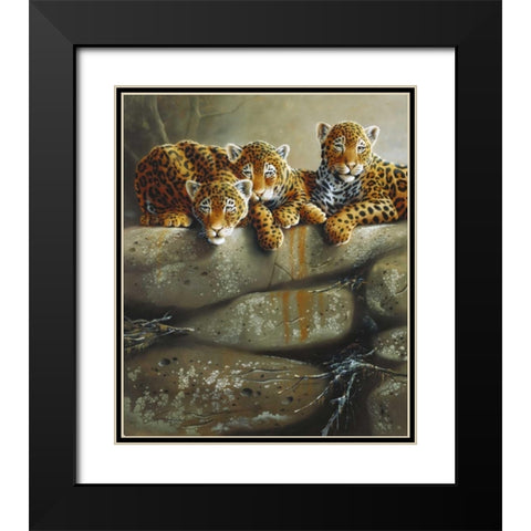 Three little tigers Black Modern Wood Framed Art Print with Double Matting by Weenink, Jan