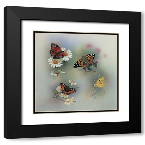 Butterfly composition Black Modern Wood Framed Art Print with Double Matting by Weenink, Jan