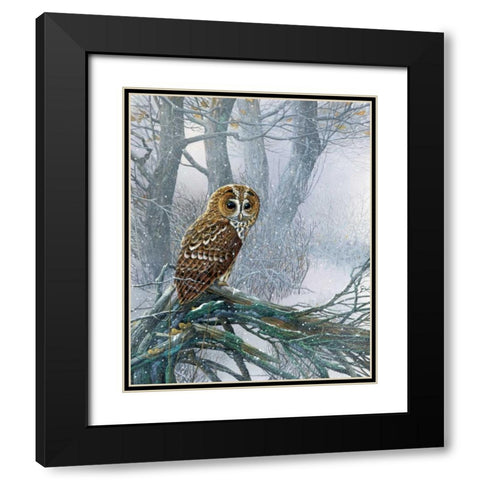 Owl in snowy forest Black Modern Wood Framed Art Print with Double Matting by Weenink, Jan