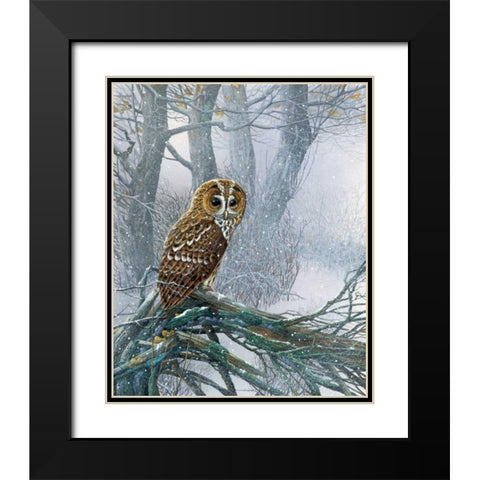 Owl in snowy forest Black Modern Wood Framed Art Print with Double Matting by Weenink, Jan