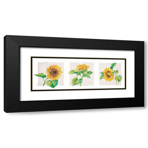 Sunflower triptych Black Modern Wood Framed Art Print with Double Matting by Kumorek, Krysztov