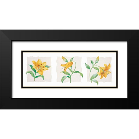 Yellow lily triptych Black Modern Wood Framed Art Print with Double Matting by Kumorek, Krysztov
