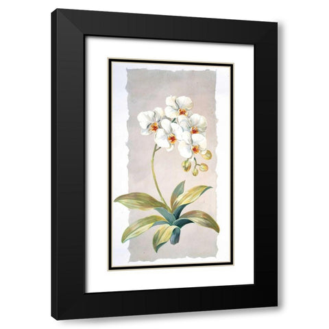 Orchid Black Modern Wood Framed Art Print with Double Matting by Kumorek, Krysztov