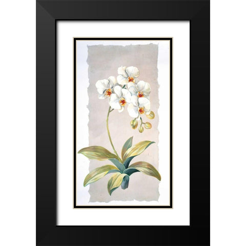 Orchid Black Modern Wood Framed Art Print with Double Matting by Kumorek, Krysztov
