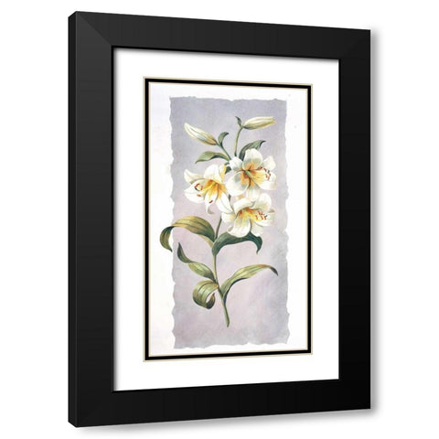 White lily Black Modern Wood Framed Art Print with Double Matting by Kumorek, Krysztov