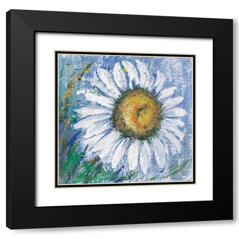 Oxeye daisy Black Modern Wood Framed Art Print with Double Matting by Schottler, Katharina