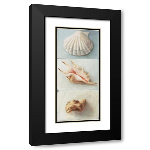 Shell selection I Black Modern Wood Framed Art Print with Double Matting by du Ciel, Milieu
