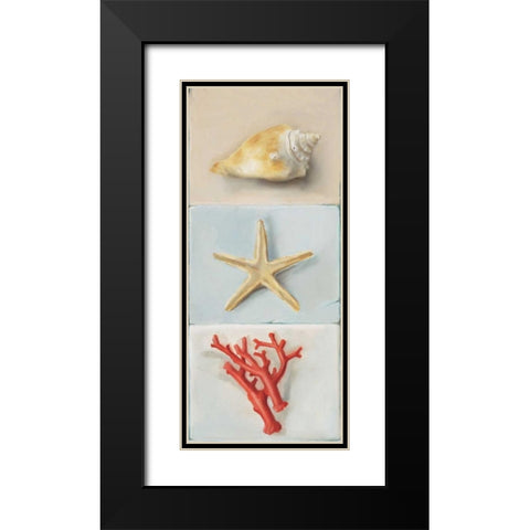 Shell selection II Black Modern Wood Framed Art Print with Double Matting by du Ciel, Milieu
