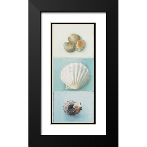 Shell selection III Black Modern Wood Framed Art Print with Double Matting by du Ciel, Milieu