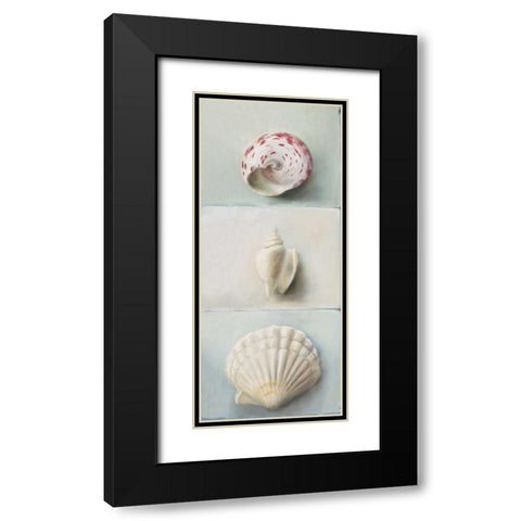 Shell selection IV Black Modern Wood Framed Art Print with Double Matting by du Ciel, Milieu