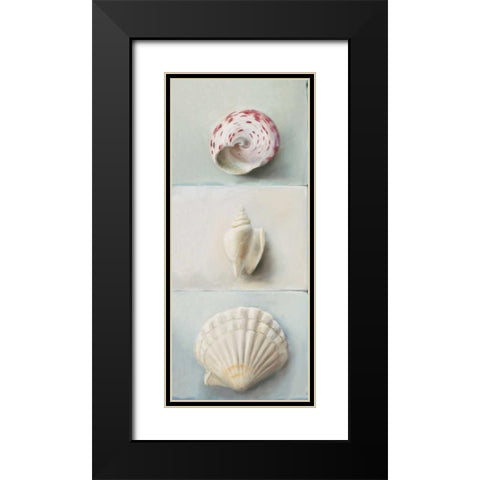 Shell selection IV Black Modern Wood Framed Art Print with Double Matting by du Ciel, Milieu