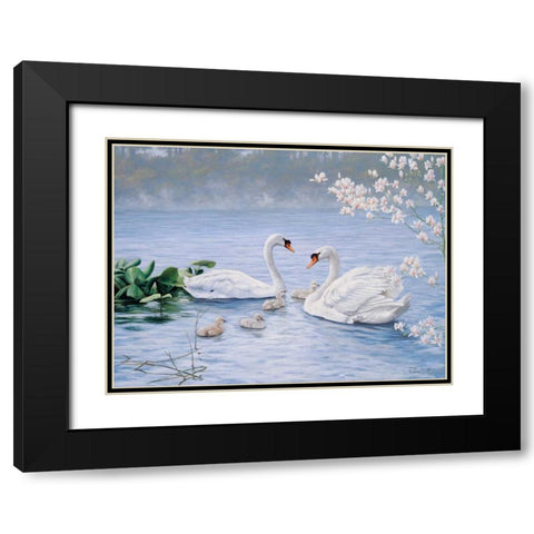 Proud swan family Black Modern Wood Framed Art Print with Double Matting by Motz, Peter