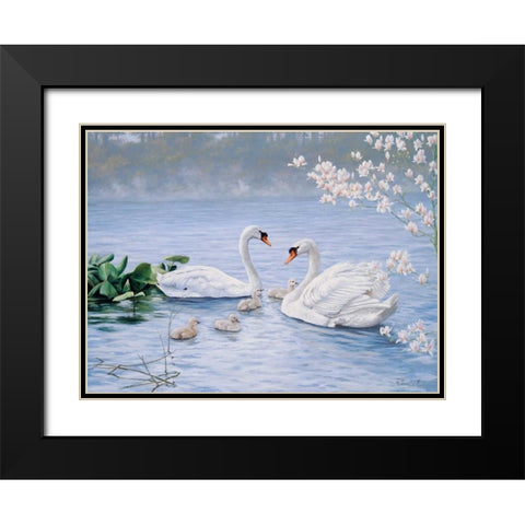 Proud swan family Black Modern Wood Framed Art Print with Double Matting by Motz, Peter