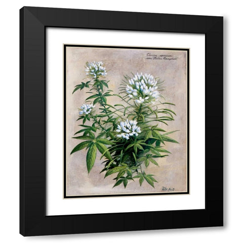 Botanical bouquet II Black Modern Wood Framed Art Print with Double Matting by Motz, Peter