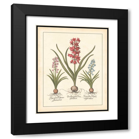 DETAILED FLORAL I Black Modern Wood Framed Art Print with Double Matting by Artique Studio