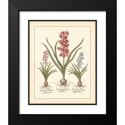 DETAILED FLORAL I Black Modern Wood Framed Art Print with Double Matting by Artique Studio