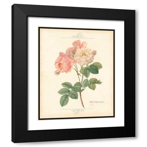 DETAILED FLORAL II Black Modern Wood Framed Art Print with Double Matting by Artique Studio