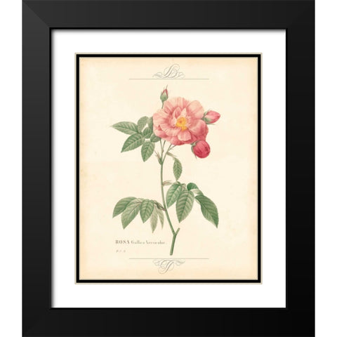 DETAILED FLORAL III Black Modern Wood Framed Art Print with Double Matting by Artique Studio