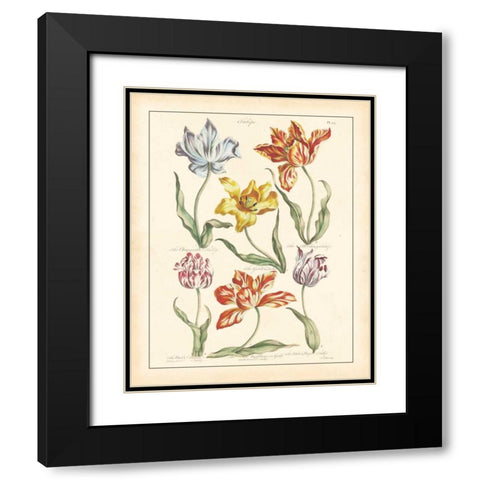 DETAILED FLORAL IV Black Modern Wood Framed Art Print with Double Matting by Artique Studio