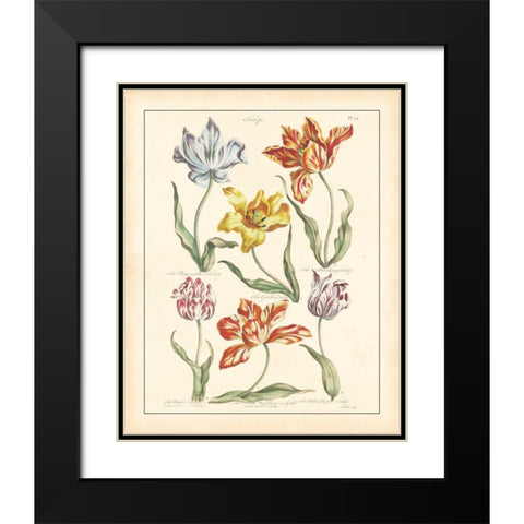DETAILED FLORAL IV Black Modern Wood Framed Art Print with Double Matting by Artique Studio