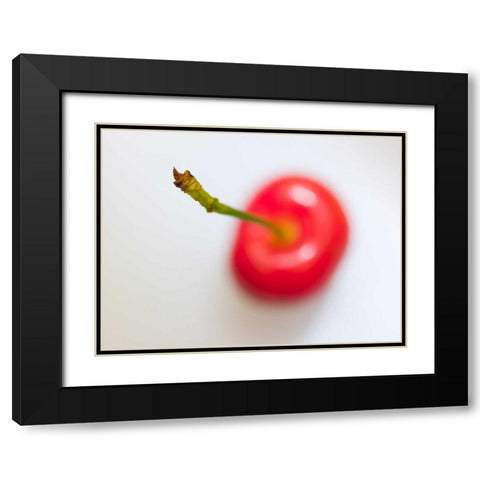 Close-up of cherry, studio shot Black Modern Wood Framed Art Print with Double Matting by Frank, Assaf