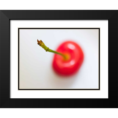 Close-up of cherry, studio shot Black Modern Wood Framed Art Print with Double Matting by Frank, Assaf