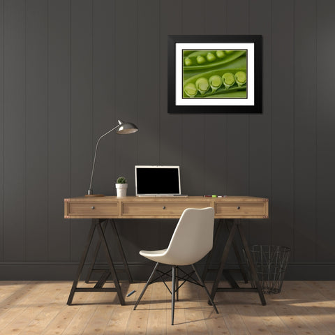 sugar snap peas pods close up Black Modern Wood Framed Art Print with Double Matting by Frank, Assaf