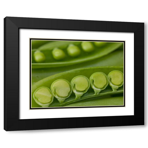 sugar snap peas pods close up Black Modern Wood Framed Art Print with Double Matting by Frank, Assaf