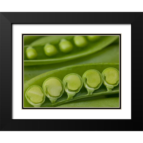 sugar snap peas pods close up Black Modern Wood Framed Art Print with Double Matting by Frank, Assaf