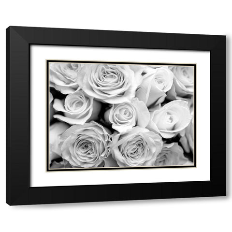 Bunch of roses Black Modern Wood Framed Art Print with Double Matting by Frank, Assaf