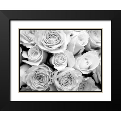 Bunch of roses Black Modern Wood Framed Art Print with Double Matting by Frank, Assaf